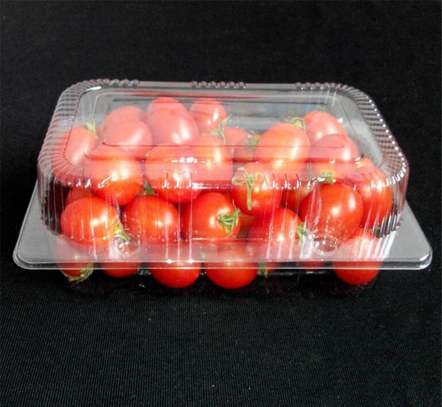 食品吸塑托盘